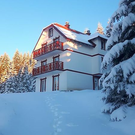 Vila Natasa Kopaonik Kültér fotó