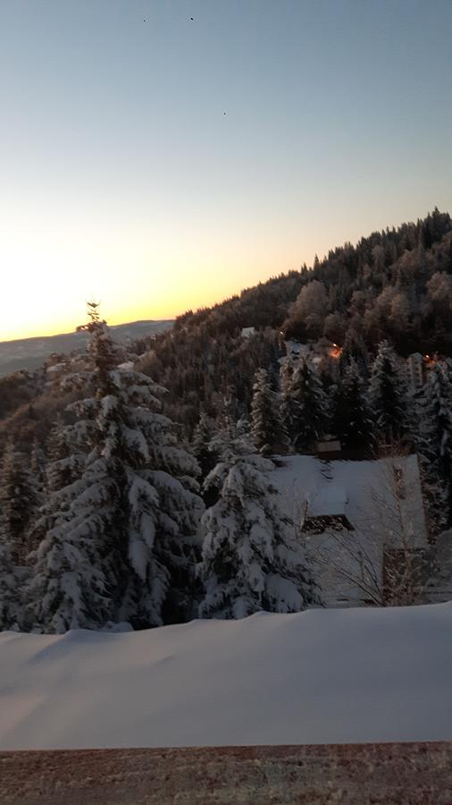 Vila Natasa Kopaonik Kültér fotó
