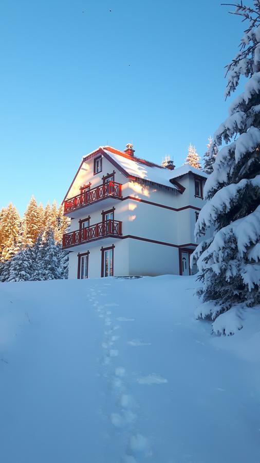 Vila Natasa Kopaonik Kültér fotó