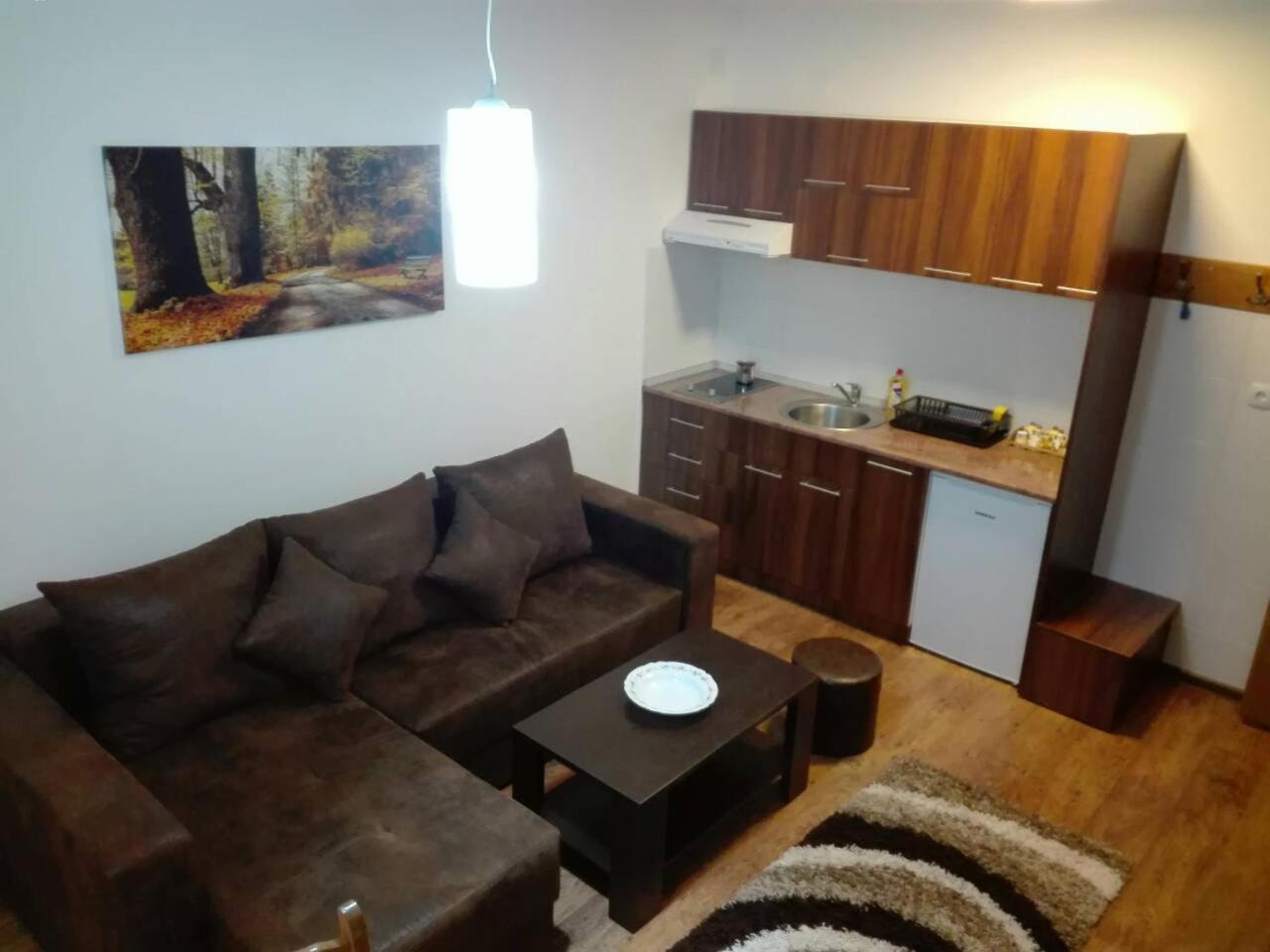 Vila Natasa Kopaonik Kültér fotó