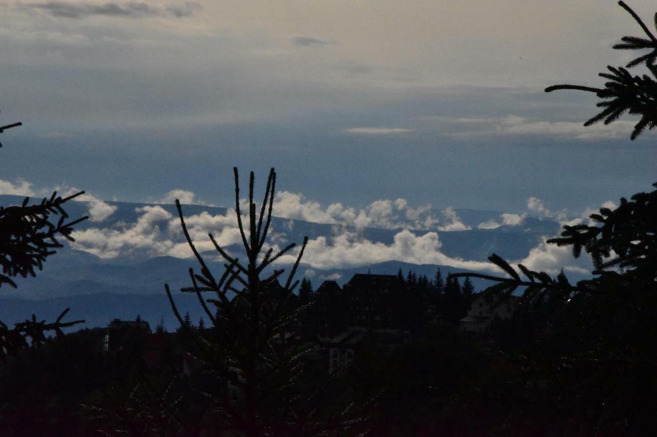 Vila Natasa Kopaonik Kültér fotó