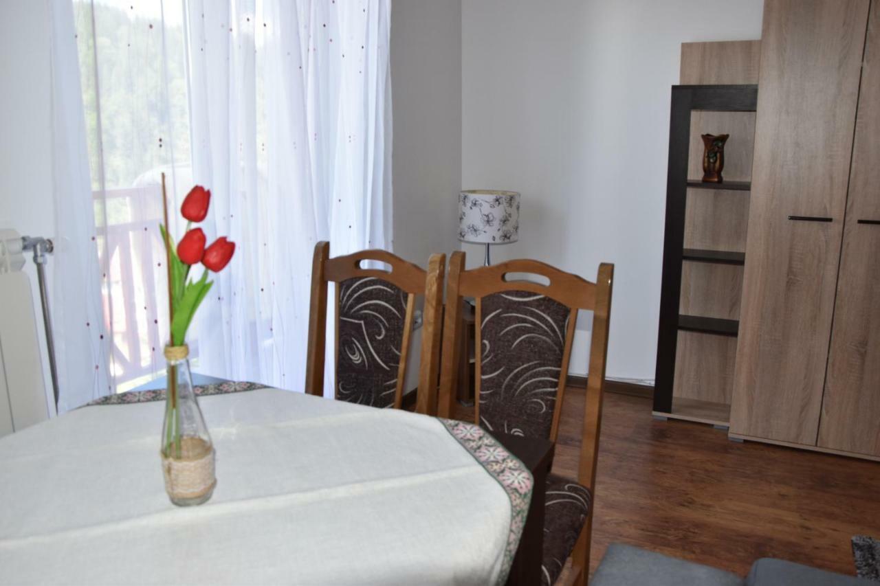 Vila Natasa Kopaonik Kültér fotó